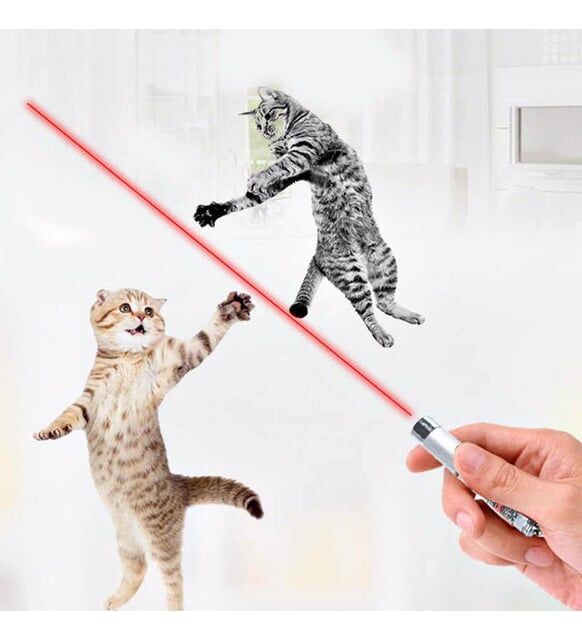 Kedi Lazeri Kırmızı Lazer Anahtarlık Kedi Oyun Lazeri Pil Dahil Kedi Oyuncağı